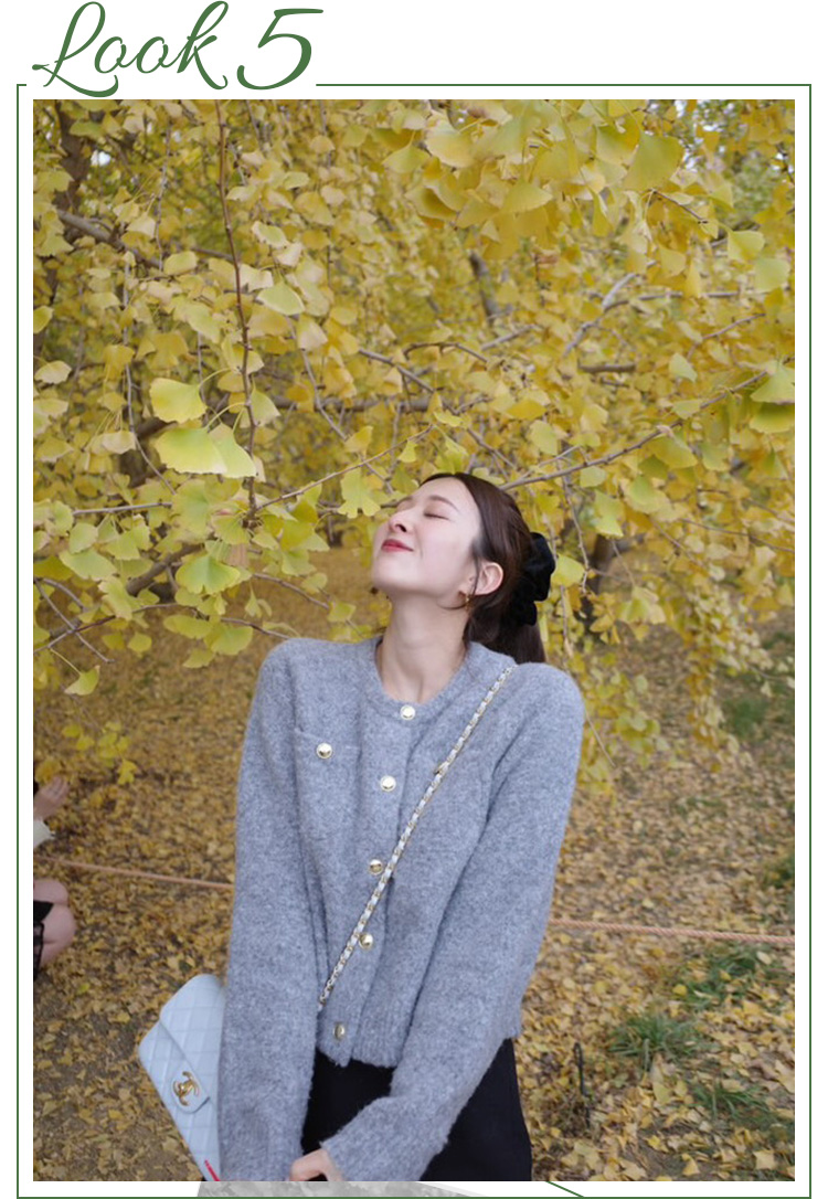 プロポーションボディドレッシング