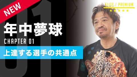 DVD7枚セット 野球選手指導者のためのレベルアップトータル練習ドリル 一流の指導者やプロ野球選手たちが伝える野球動画と練習用ドリル