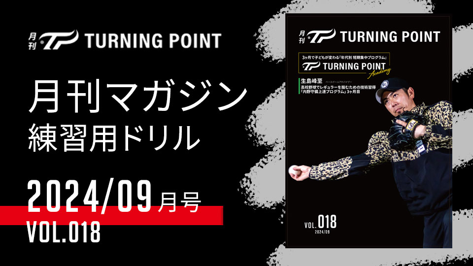 【新品未開封】定価7.6万 TURNING POINT 野球上達DVD 4枚組 一流の指導者やプロ野球選手たちが伝える野球動画と練習用ドリル