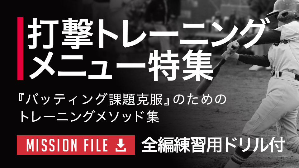 【全編練習用ドリル付】打撃トレーニングメニュー特集｢各分野のスペシャリストが伝授／打撃トレーニングメソッド｣
