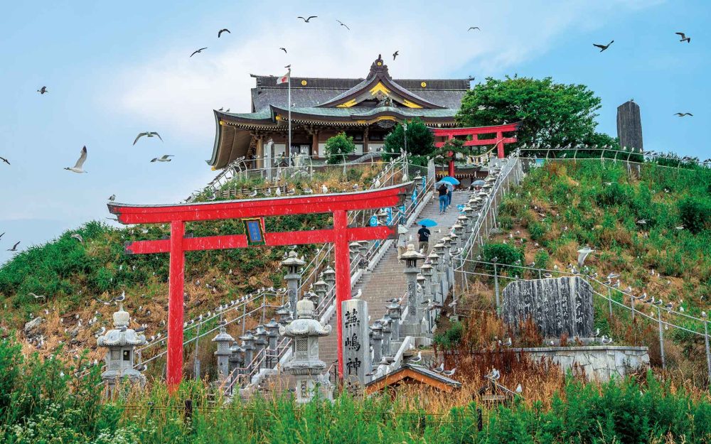 青森・八戸観光　海鮮が美味しい丼食堂から夜の横丁を巡る旅記事写真