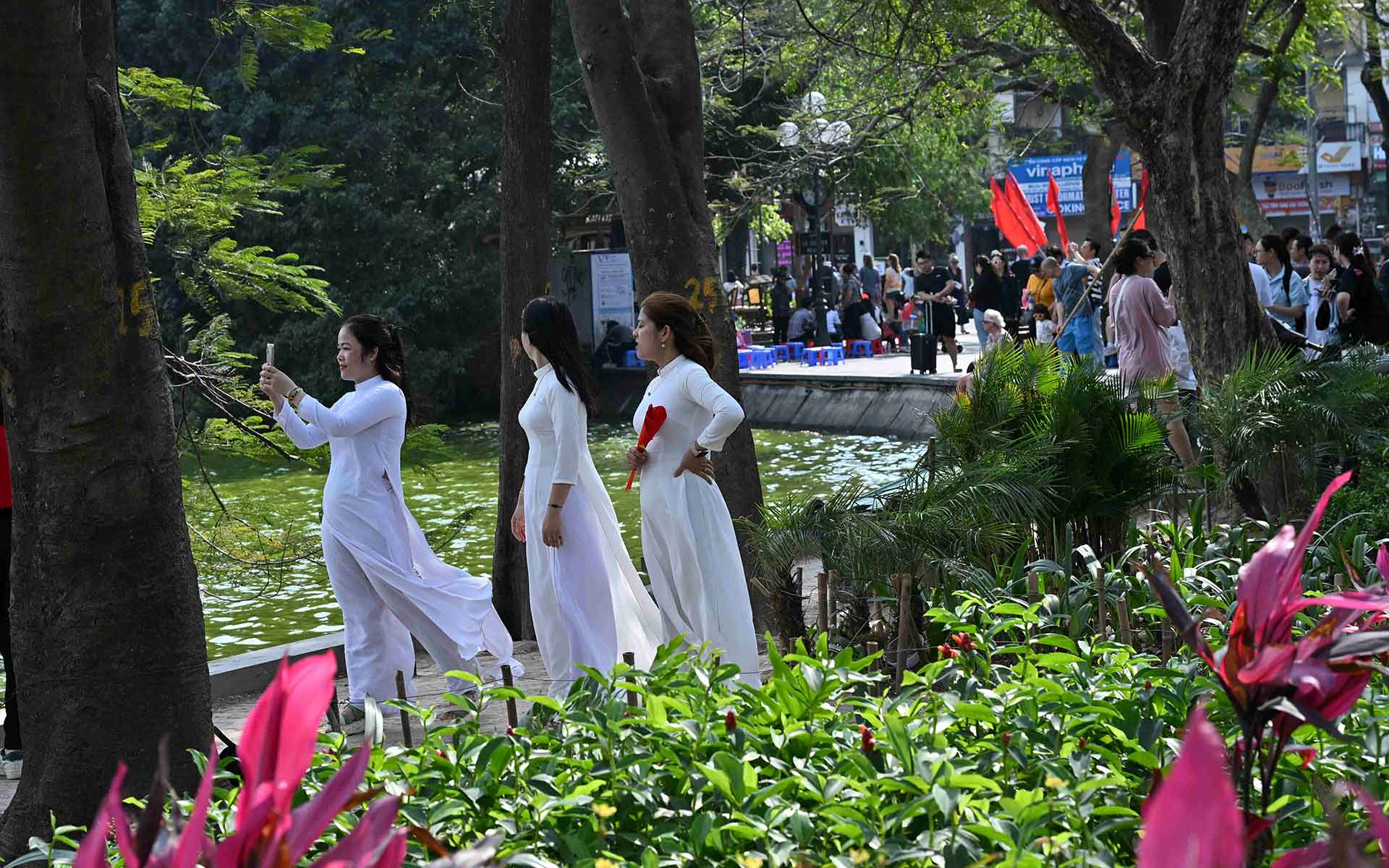 ベトナム・ハノイ散歩 ホアンキエム湖で伝説の巨大な亀に出会う