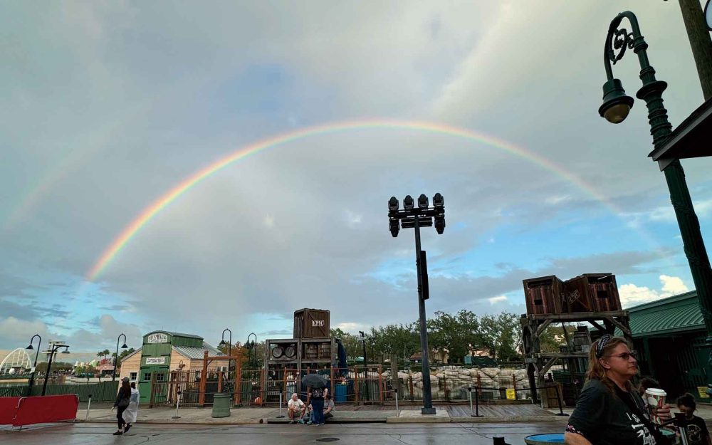 フロリダの豪雨と日本の梅雨　大嫌いな雨と向き合った後に見えるもの記事写真
