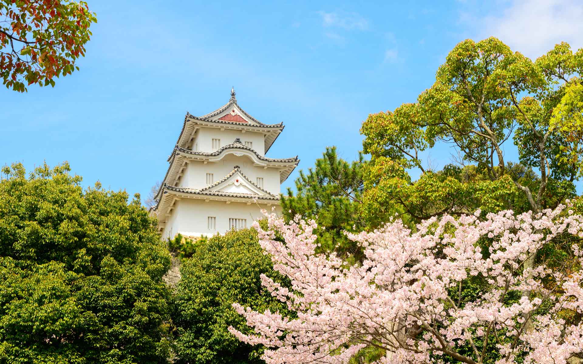 明石のおすすめ観光スポット6選　子午線が通る『時のまち』を歩く旅｜翼の王国厳選