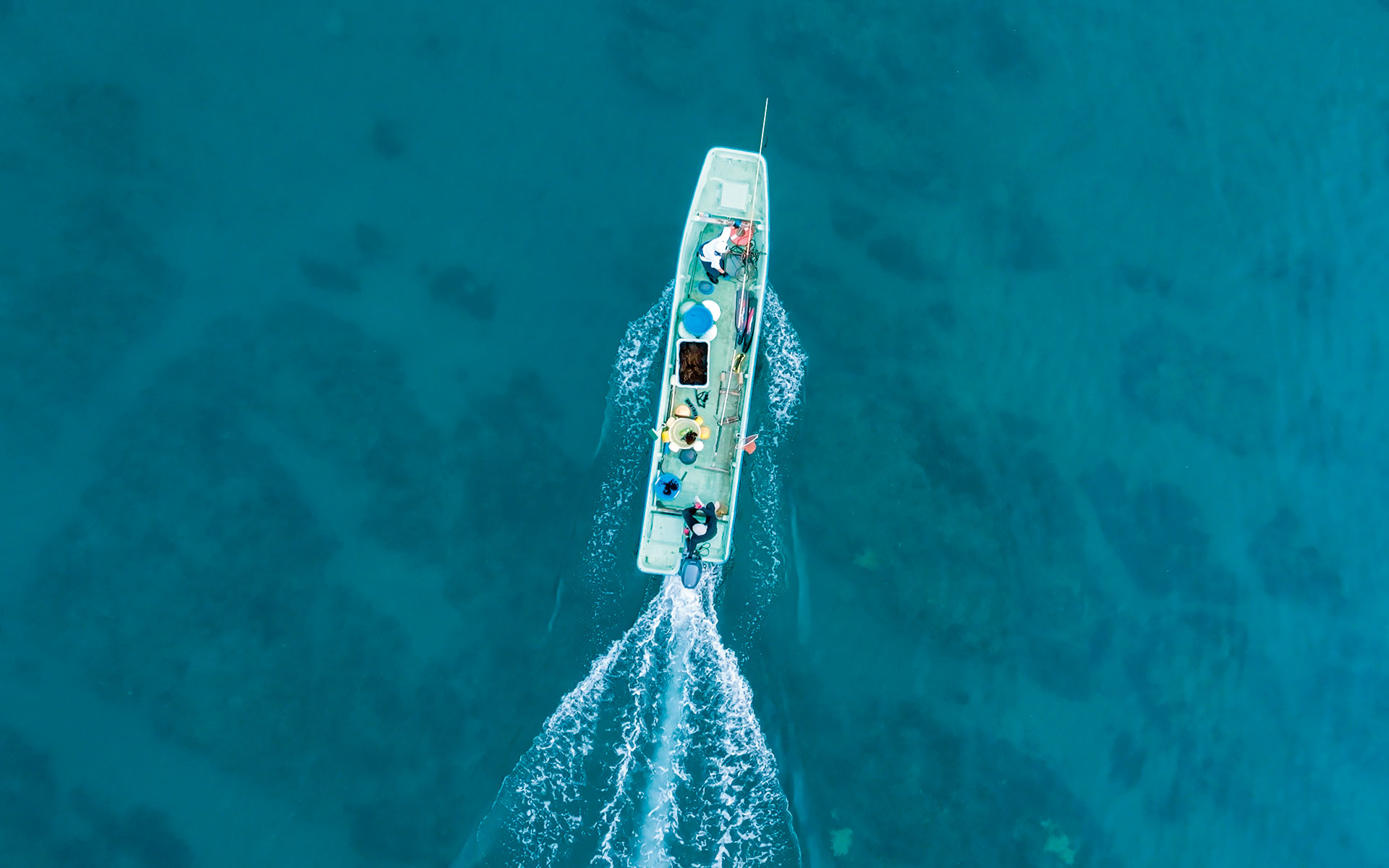 特集　百年息する古民家と人が織りなす新潟