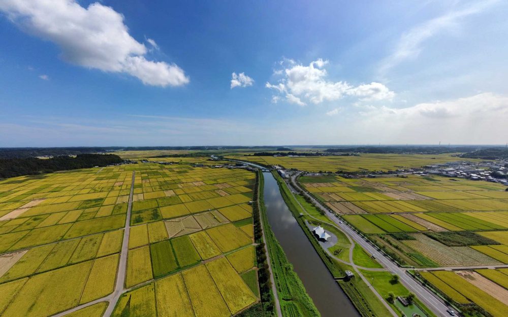 心と体を耕す週末　「ANAアグリ部」でリアルな農業体験　千葉県香取郡多古町にお邪魔しました