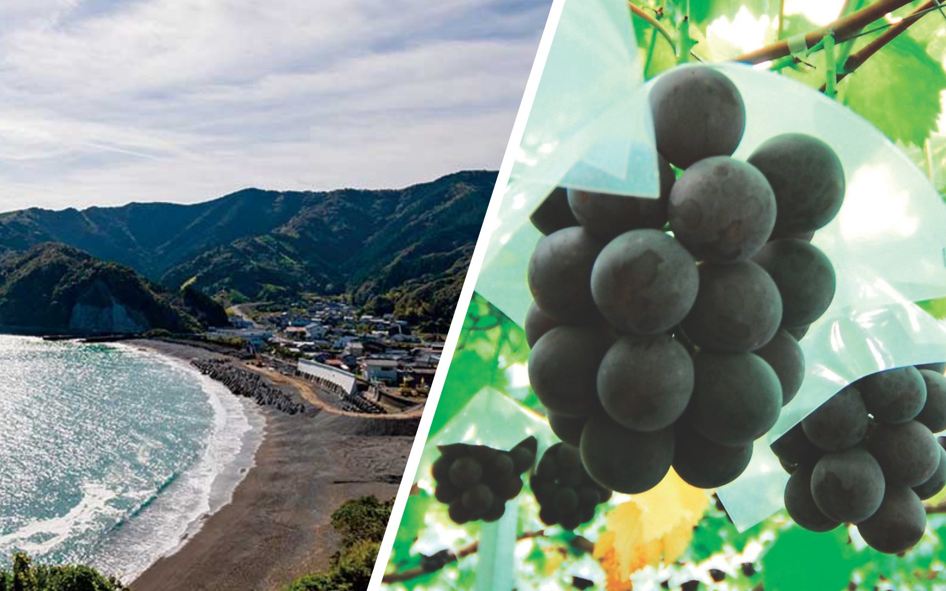 【二地域居住】鳥取と高知で見つけたもうひとつの暮らし