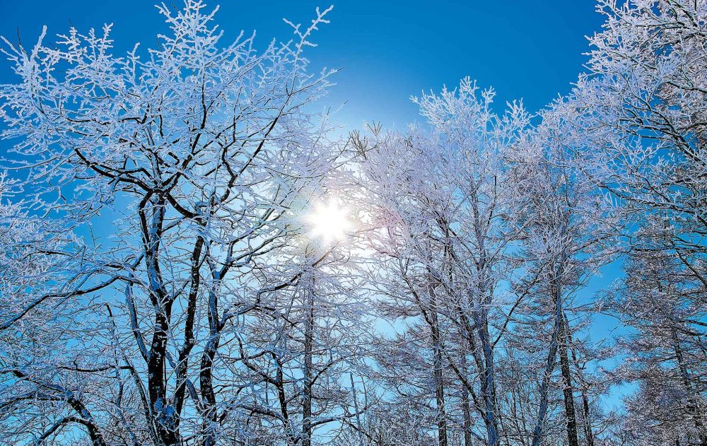 12月のごあいさつ　旅は生きた読書記事写真