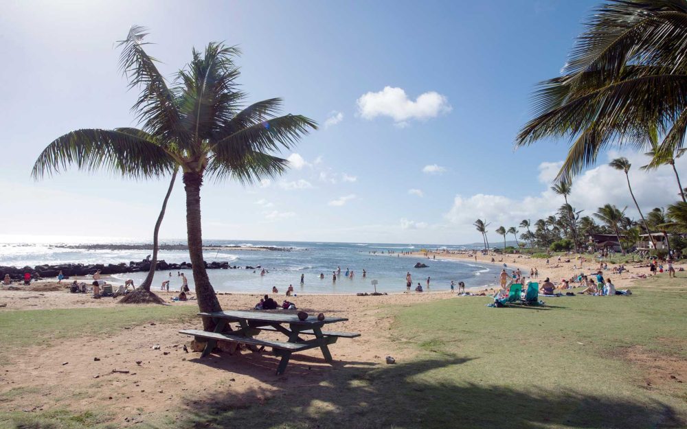 ハワイ・カウアイ島の絶景スポット6選　大自然と静寂に包まれる感動の旅｜翼の王国厳選記事写真