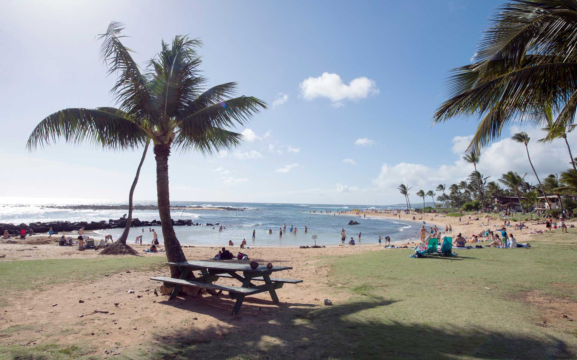 ハワイ・カウアイ島の絶景スポット6選　大自然と静寂に包まれる感動の旅｜翼の王国厳選