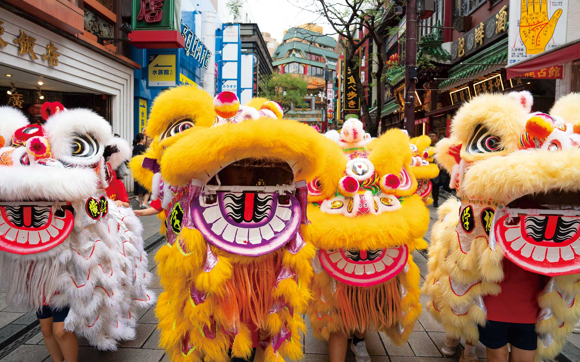 横浜・春節の獅子舞が街を一つにする　中華街から広がる多文化都市の物語