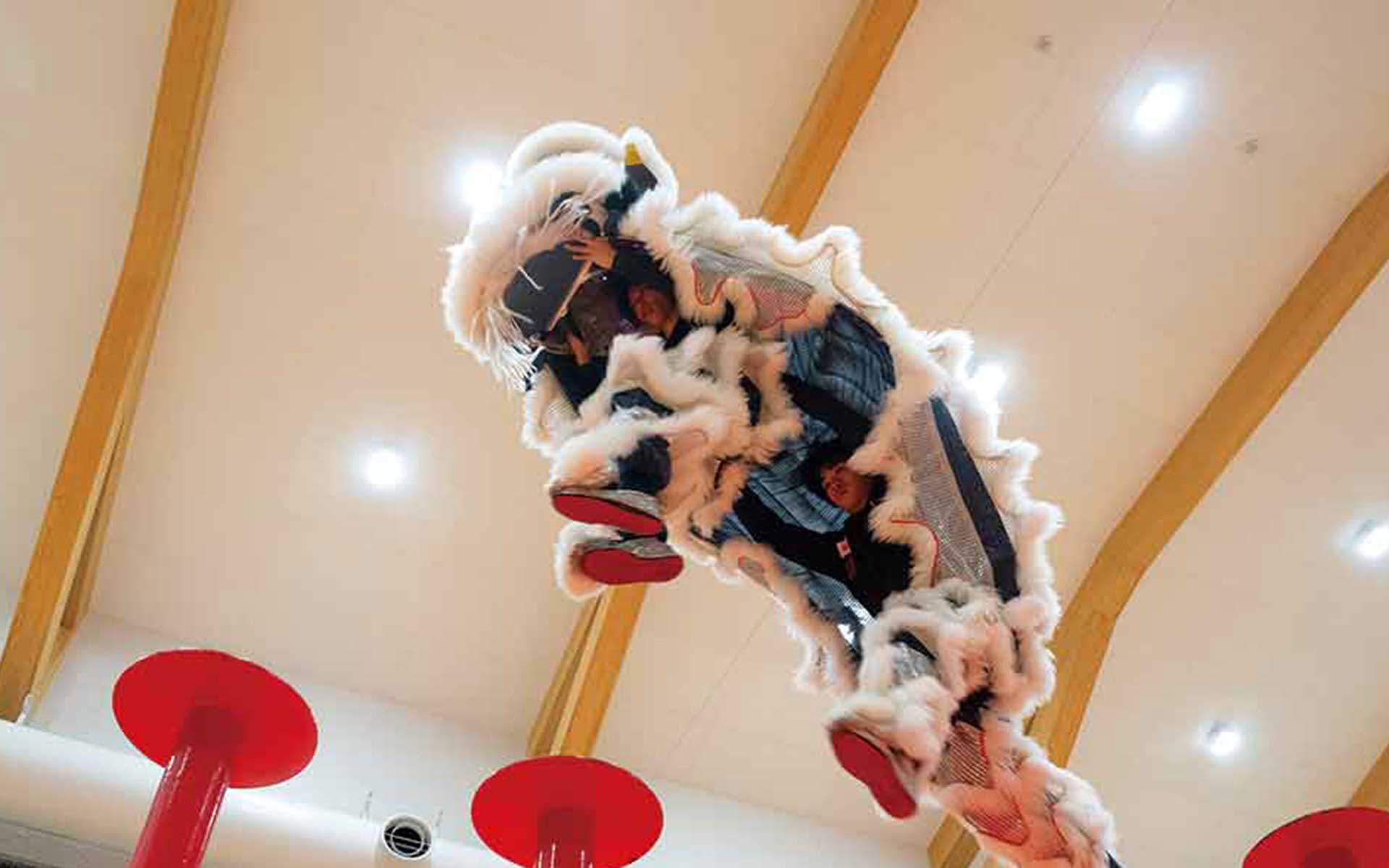 子どもたちが受け継ぐ横浜・春節の獅子舞　世代と町をつなぐ未来の文化