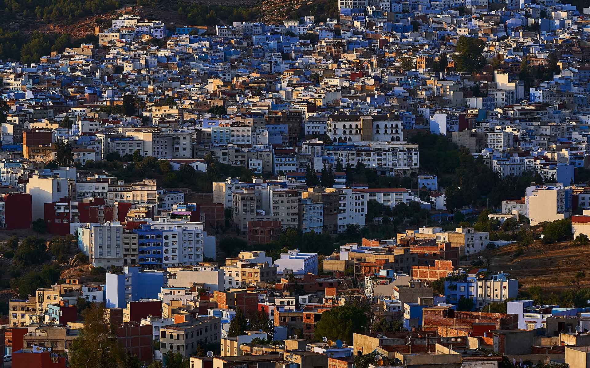 モロッコの“青”は1人の主婦から始まった　街の運命は誰かの小さな発想が変える