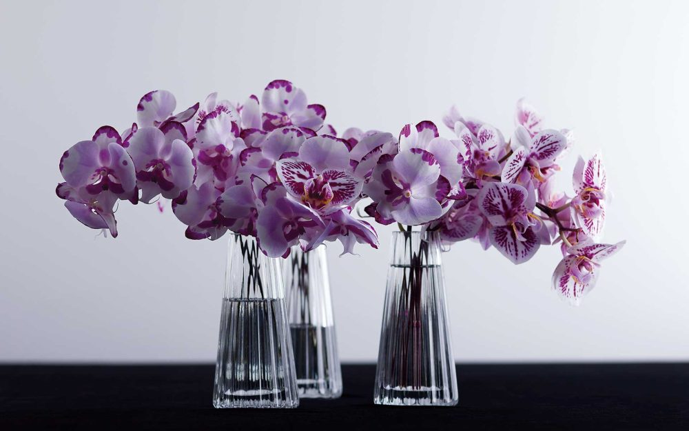 木更津で思いがけず出合った逸品ボンゴレ　“ホテルの名店イタリアン”の虜です記事写真