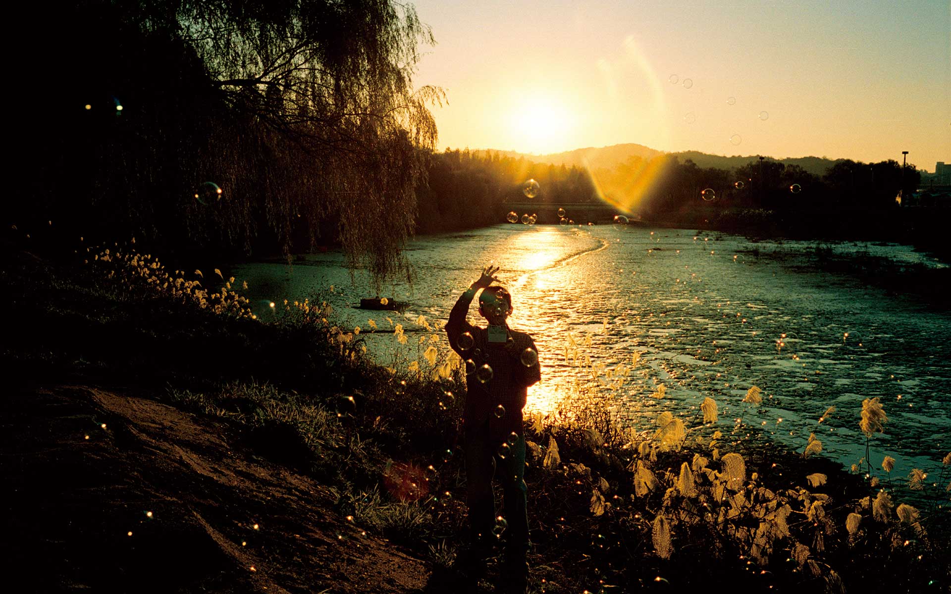 魂を見つめ直す街ソウル　写真家が心通わせた少年ともたらされた癒し