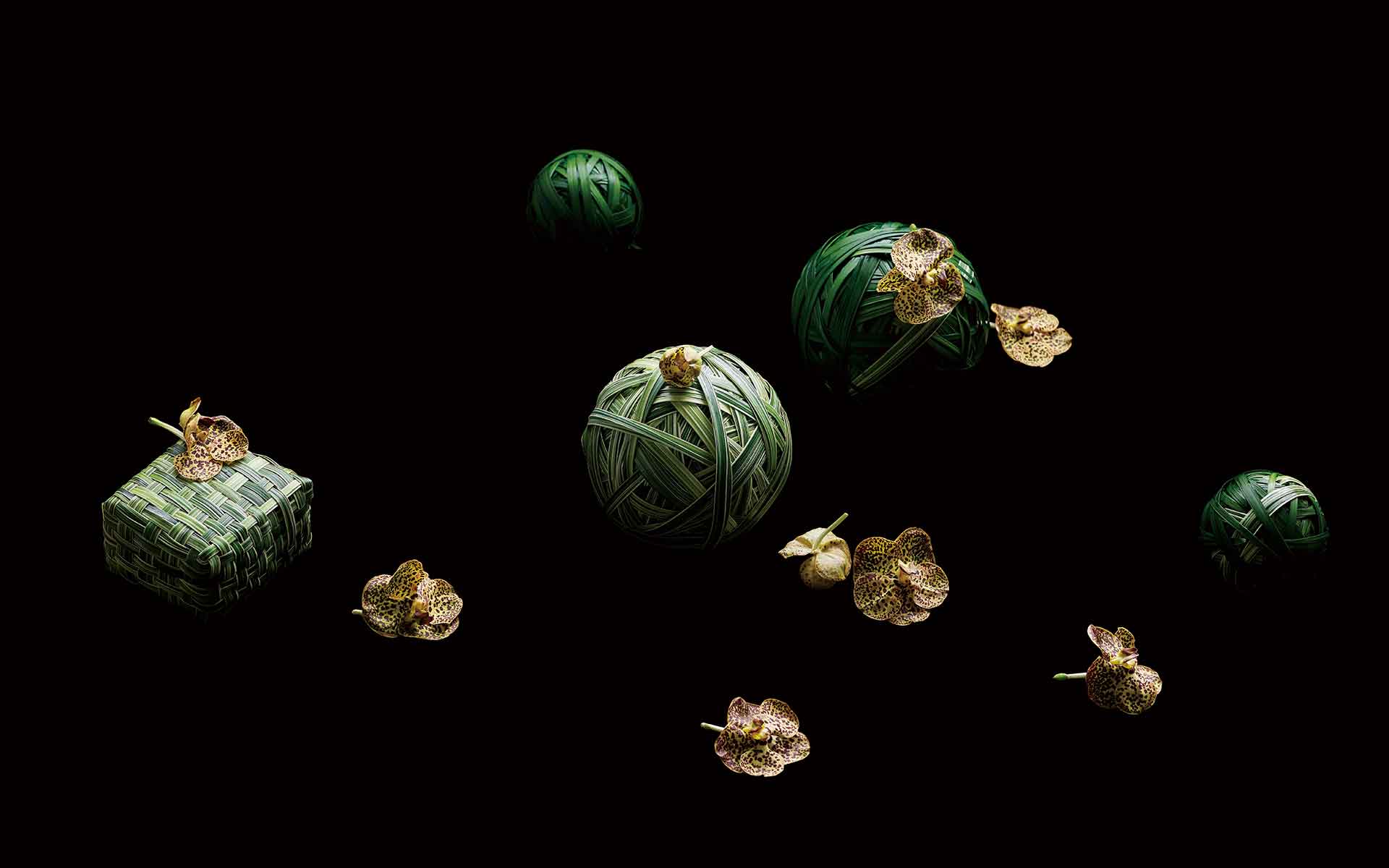 福岡の店屋町ごとうで出会った夜の“いかめし”　土鍋の蓋を開け「やられた」