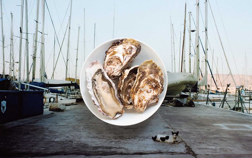 厚岸の牡蠣にウィスキーを一滴　俳優・青木崇高が恋した『カキえもん』記事写真