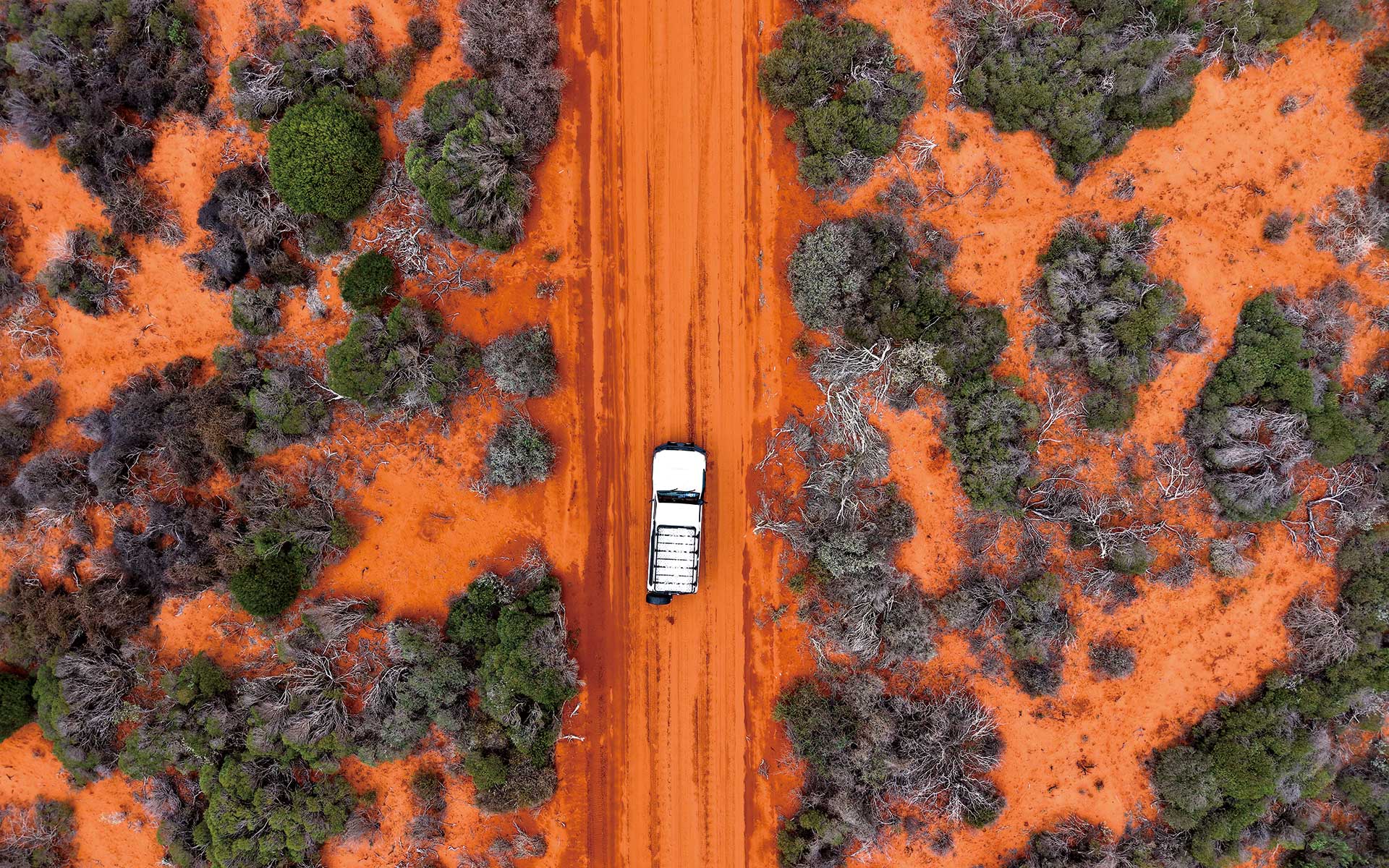 特集　Western Australia 色彩と秘境が交差する場所