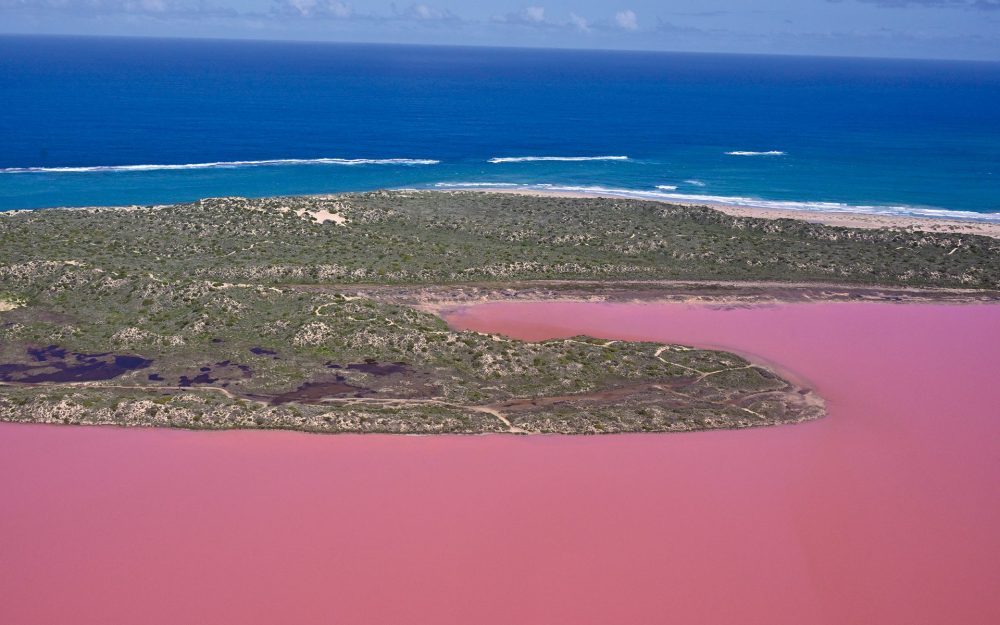 西オーストラリアを旅すると思考が溶けていく　ピンクの湖ハットラグーンがもたらす静寂　記事写真