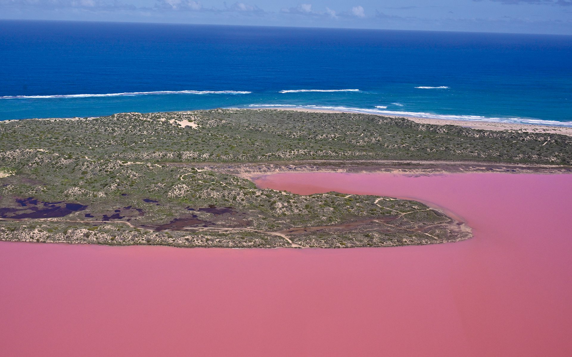 西オーストラリアを旅すると思考が溶けていく　ピンクの湖ハットラグーンがもたらす静寂　