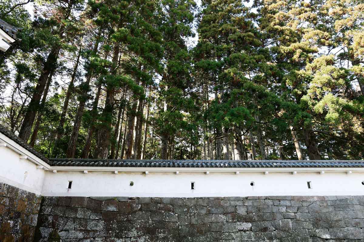 宮崎県林業史 【公式通販】