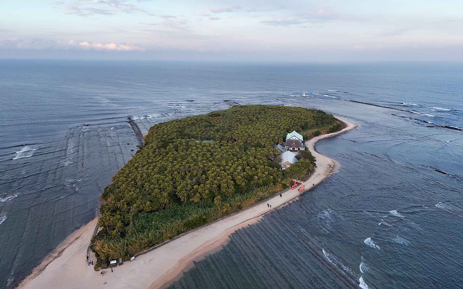 特集　宮崎 飫肥の森と青島の海の間にある記憶
