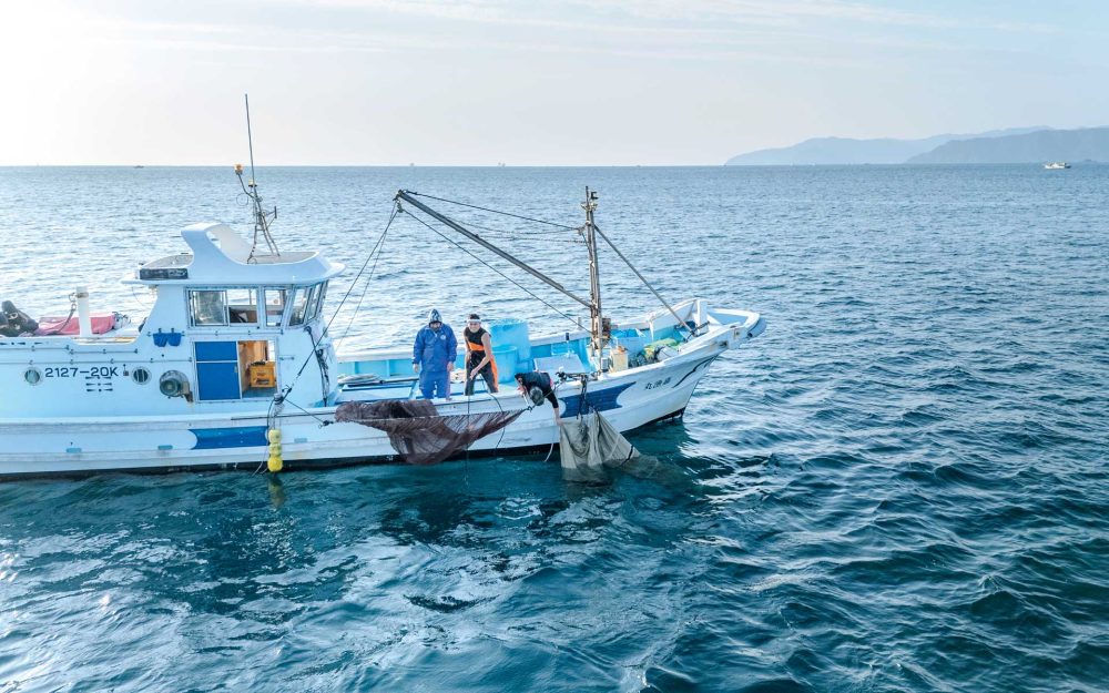 シラスを追い、魚を突く――泳ぎに選ばれた土佐の海人が知る“命の距離”