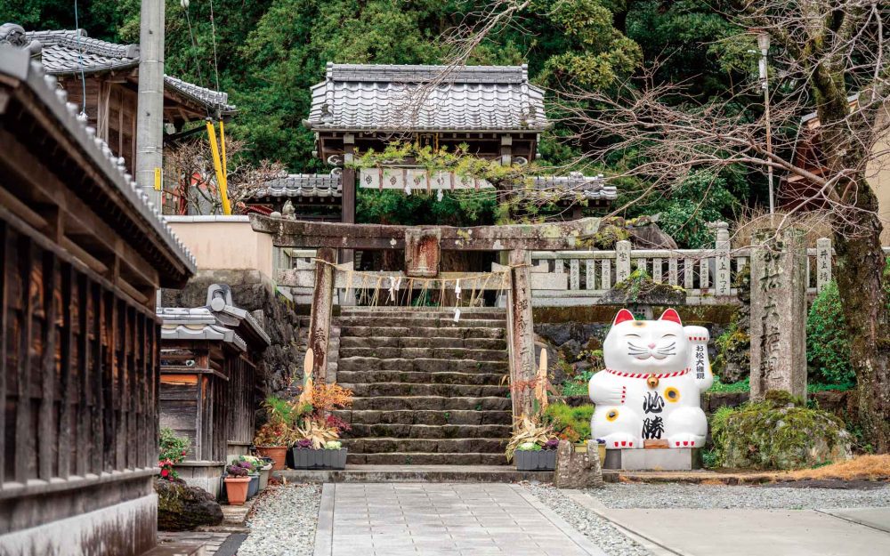 「来年また来る」と決めた旅——三毛猫ミケと“祈りが続く場所”の物語記事写真