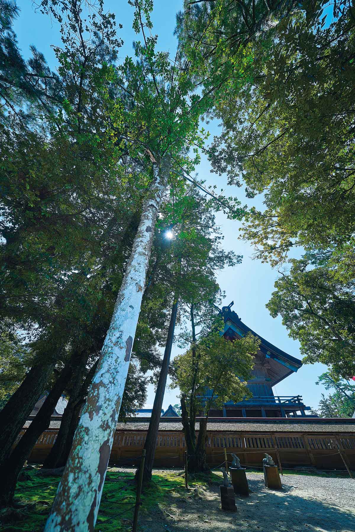 出雲で気づいた感謝と祈り 日常はたくさんの“見えない縁”でできている