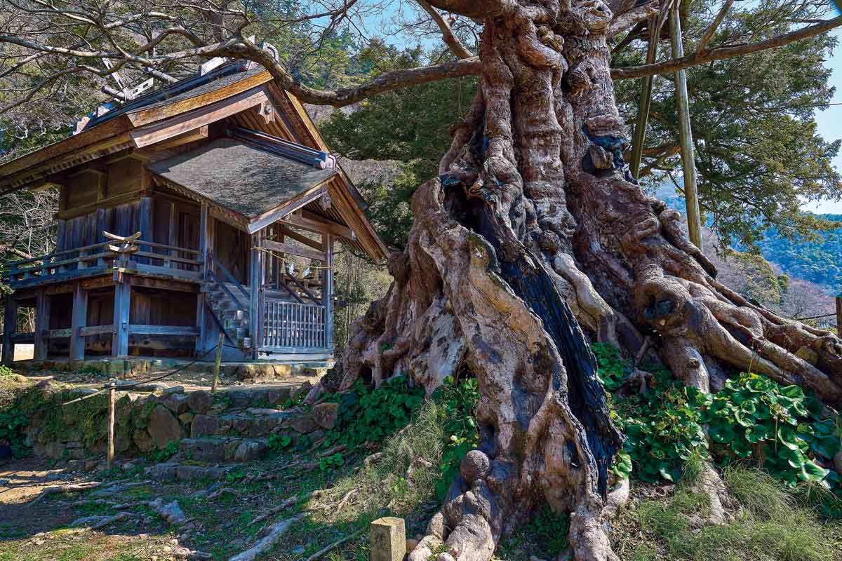 出雲 出雲で気づいた感謝と祈り 日常はたくさんの“見えない縁”でできている
