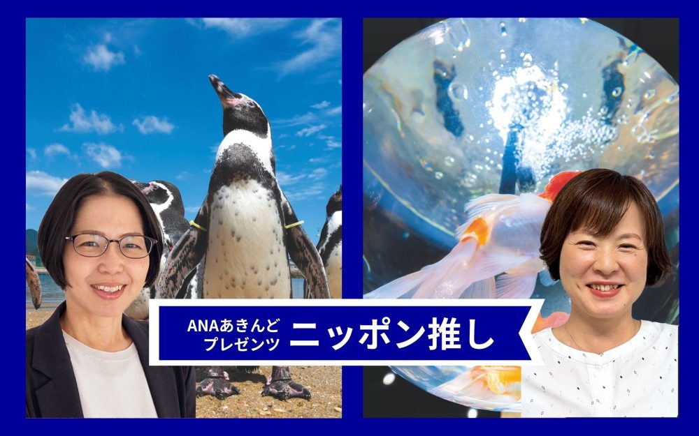 宮島で錦鯉・長崎でペンギン　その土地だから出会える個性あふれる水族館　記事写真
