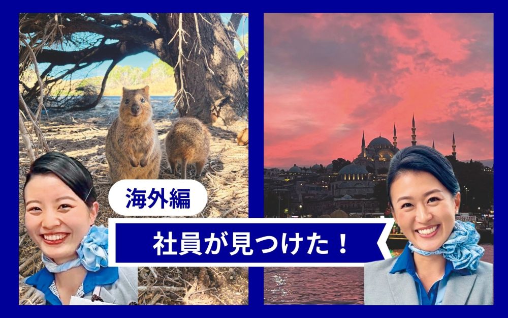 ロットネスト島の笑顔・イスタンブールの夕景 ANA社員が旅で出会った忘れられない景色