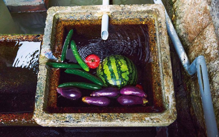 特集　水と生きる近江、「かばた」のある暮らしの写真
