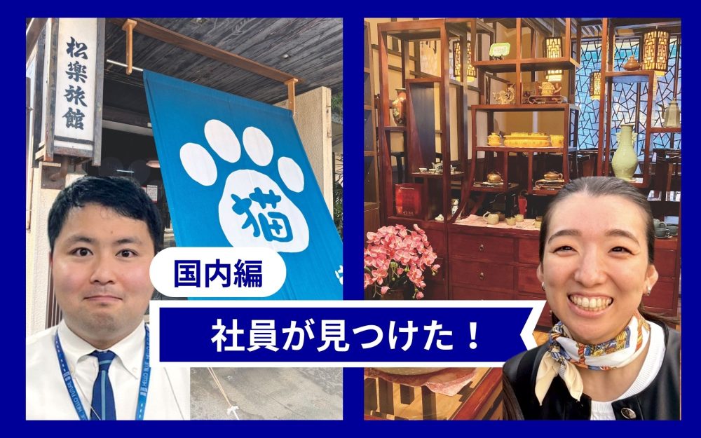 愛媛のネコ宿と長崎の中国茶カフェ　ANA社員おすすめ国内ローカル旅記事写真