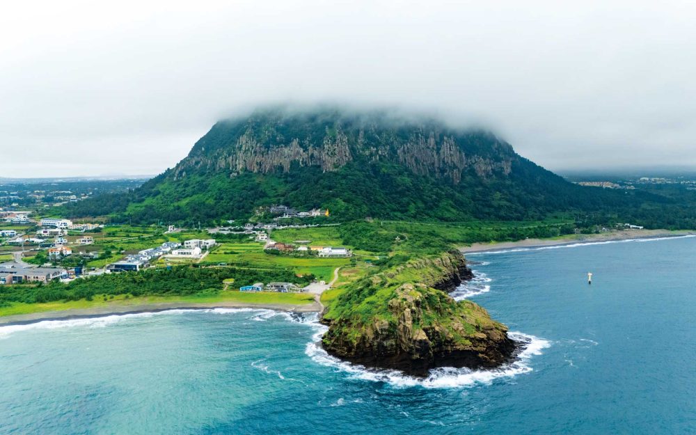 チェジュ島に息づくお茶と蕎麦の物語　風と土が育む豊かな恵み