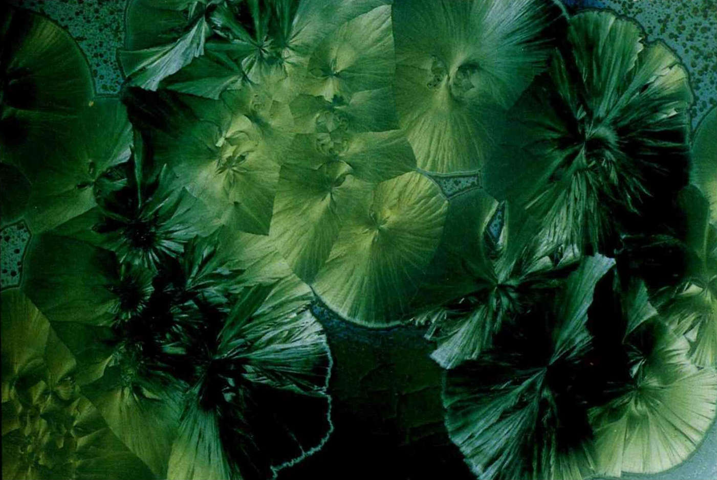 走過烽火．走過窯火——孫超- 台灣光華雜誌