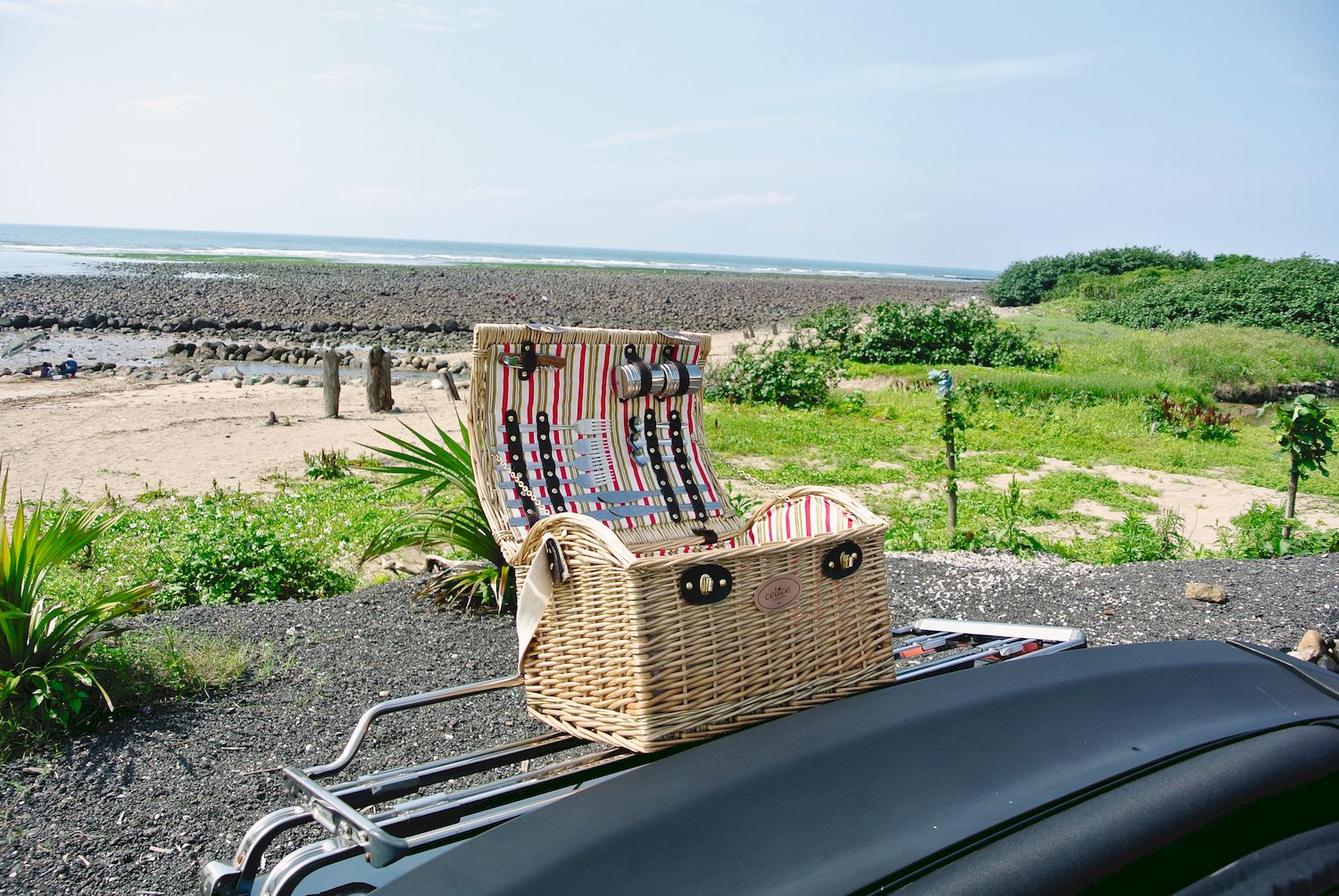 ピクニックのビジネスチャンス - Taiwan Panorama