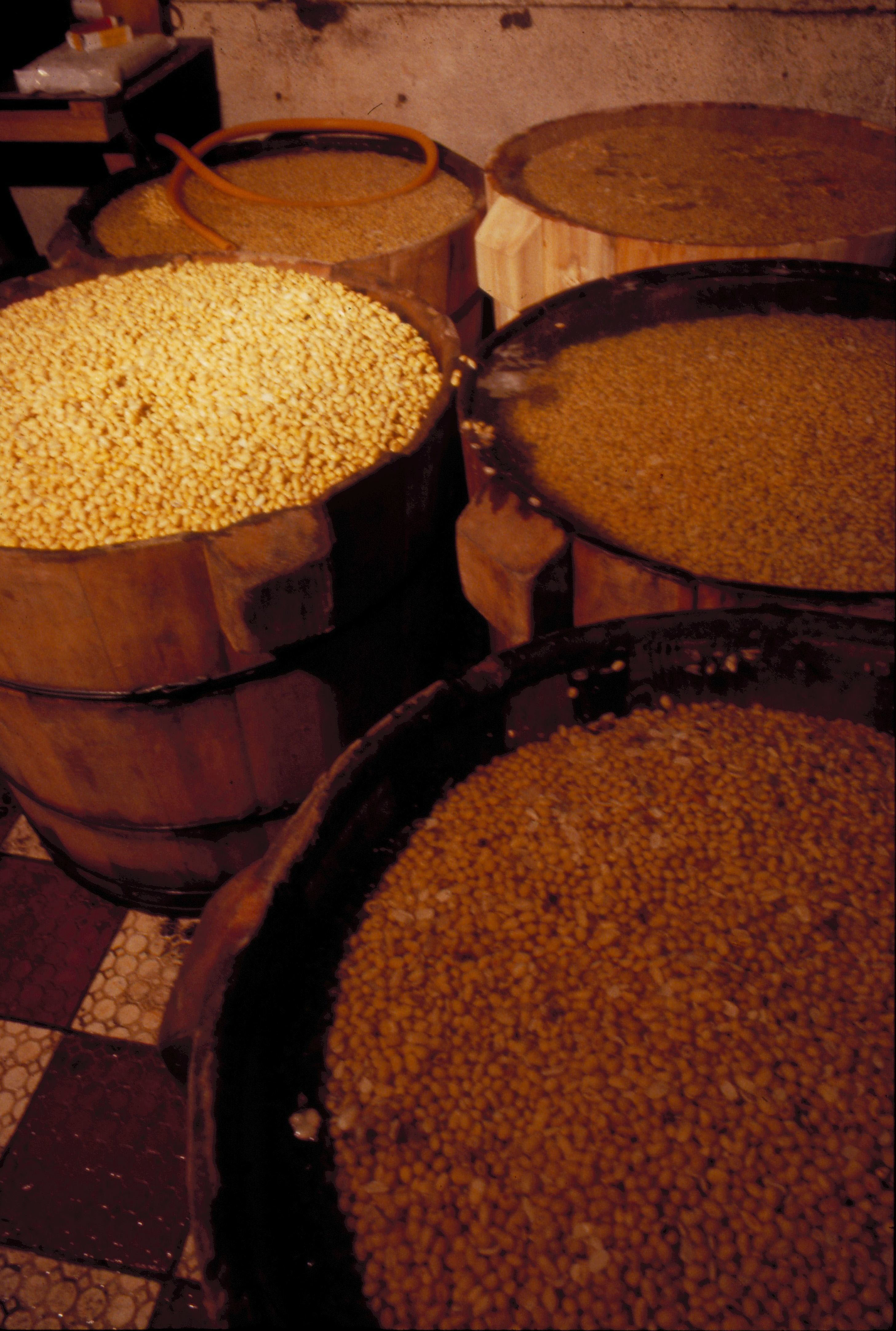 Bean Curd--The Chinese Taste Sensation - Taiwan Panorama