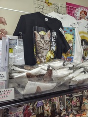 ここが一番安い