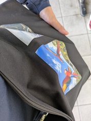 review