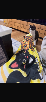 プレゼントに