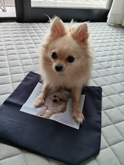 かわいい