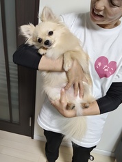 かわいい