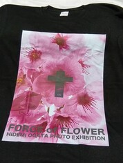 発色が綺麗。