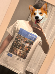 高品質，高クオリティ