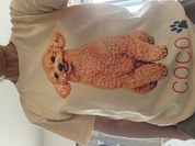 愛犬のTシャツ