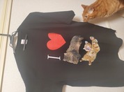 買ってよかった