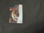 愛犬のオリジナルTシャツとトレーナー