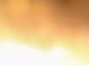 管理ができていない