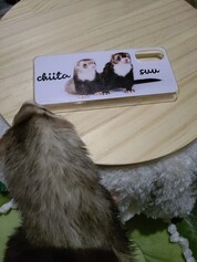 仕上がりキレイ！